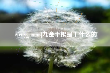 武汉九金十银是干什么的