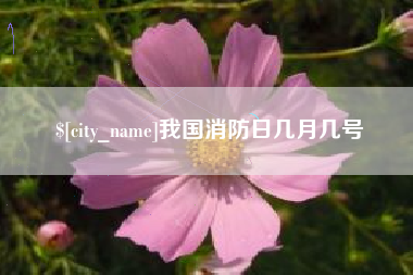 武汉我国消防日几月几号