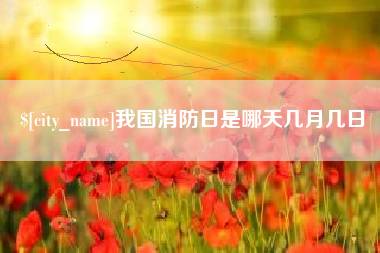 武汉我国消防日是哪天几月几日