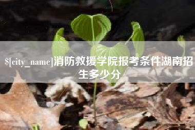 武汉消防救援学院报考条件湖南招生多少分