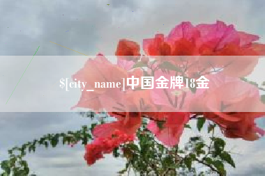 武汉中国金牌18金