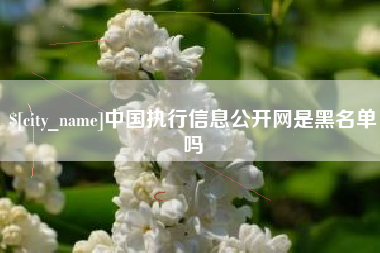 武汉中国执行信息公开网是黑名单吗