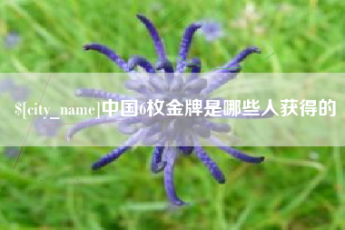 武汉中国6枚金牌是哪些人获得的