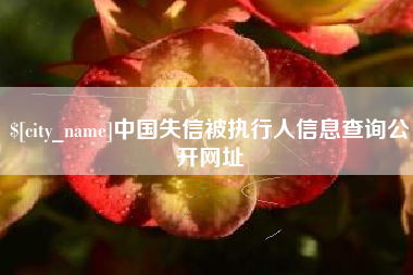 武汉中国失信被执行人信息查询公开网址