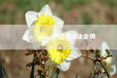 武汉奥运会39块金牌