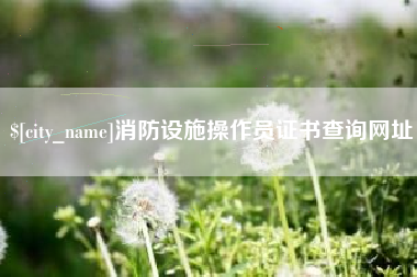 武汉消防设施操作员证书查询网址