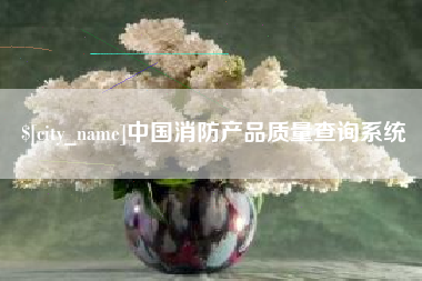 武汉中国消防产品质量查询系统
