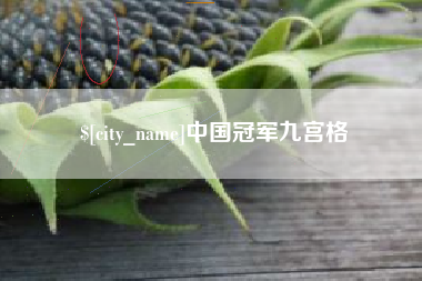 武汉中国冠军九宫格