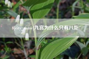 武汉九宫为什么只有八卦