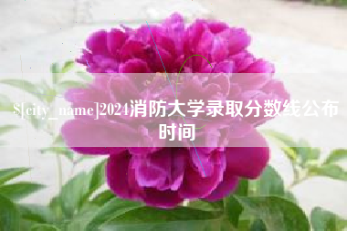 武汉2024消防大学录取分数线公布时间
