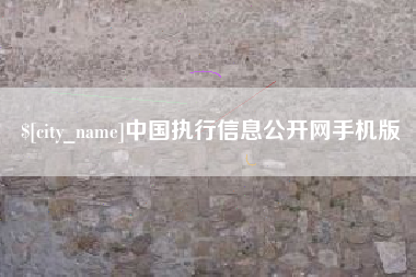 武汉中国执行信息公开网手机版