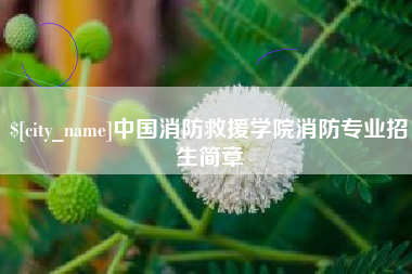 武汉中国消防救援学院消防专业招生简章