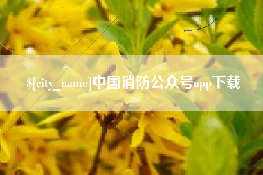 武汉中国消防公众号app下载