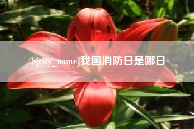 武汉我国消防日是哪日