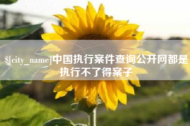 武汉中国执行案件查询公开网都是执行不了得案子