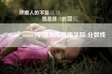 武汉中国消防救援学院 分数线