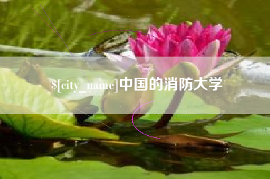 武汉中国的消防大学
