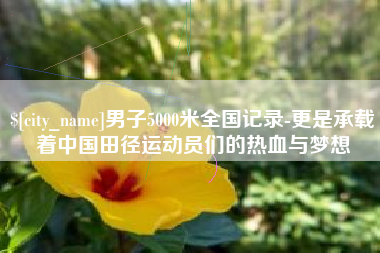 武汉男子5000米全国记录-更是承载着中国田径运动员们的热血与梦想