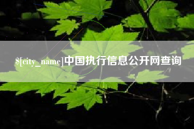武汉中国执行信息公开网查询