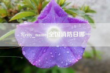 武汉全国消防日哪一