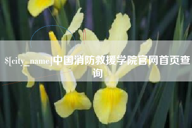 武汉中国消防救援学院官网首页查询