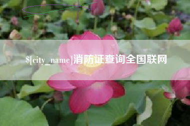 武汉消防证查询全国联网