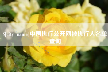 武汉中国执行公开网被执行人名单查询