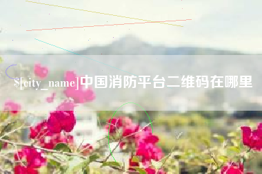武汉中国消防平台二维码在哪里