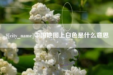 武汉中国地图上白色是什么意思