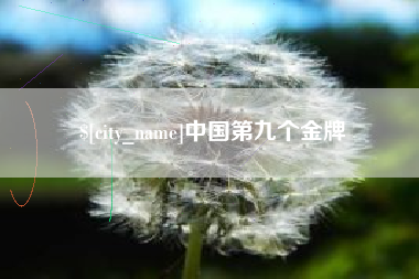 武汉中国第九个金牌