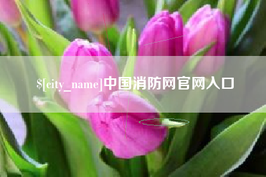 武汉中国消防网官网入口