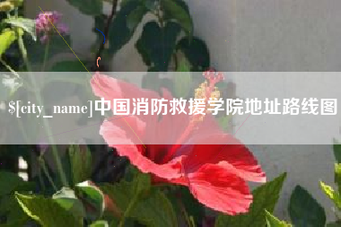 武汉中国消防救援学院地址路线图