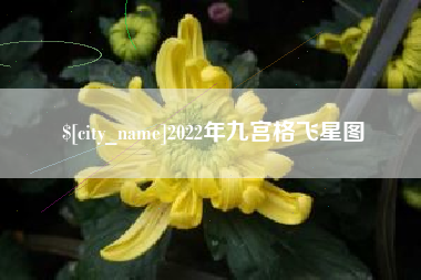 武汉2022年九宫格飞星图