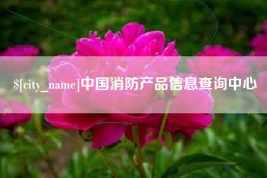 武汉中国消防产品信息查询中心