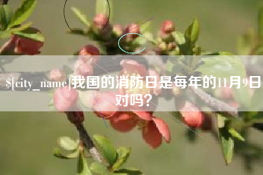 武汉我国的消防日是每年的11月9日对吗？