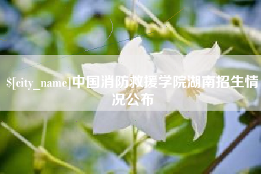 武汉中国消防救援学院湖南招生情况公布