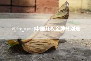 武汉中国九枚金牌分别是