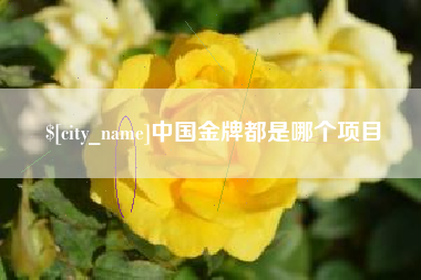 武汉中国金牌都是哪个项目