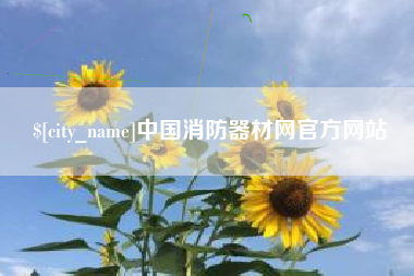 武汉中国消防器材网官方网站