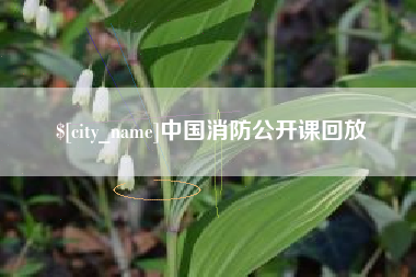 武汉中国消防公开课回放