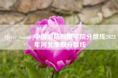 武汉中国消防救援学院分数线2023年河北录取分数线