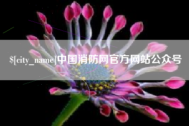 武汉中国消防网官方网站公众号