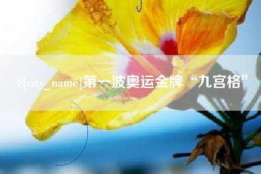 武汉第一波奥运金牌“九宫格”