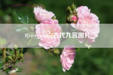 武汉古代九宫图片