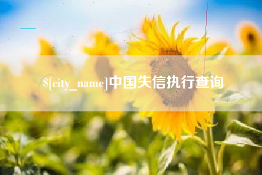 武汉中国失信执行查询