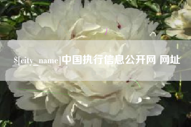 武汉中国执行信息公开网 网址