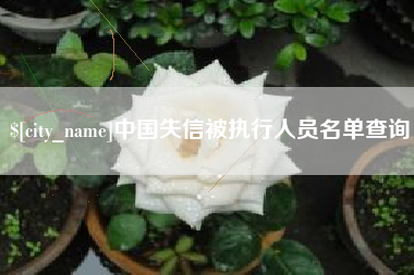 武汉中国失信被执行人员名单查询