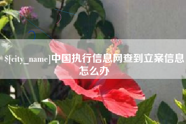 武汉中国执行信息网查到立案信息怎么办