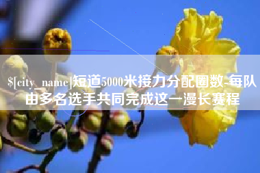 武汉短道5000米接力分配圈数-每队由多名选手共同完成这一漫长赛程