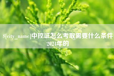 武汉中控证怎么考取需要什么条件2024年的